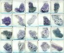 Flat: Grape Agate From Indonesia - Pieces #79153-3